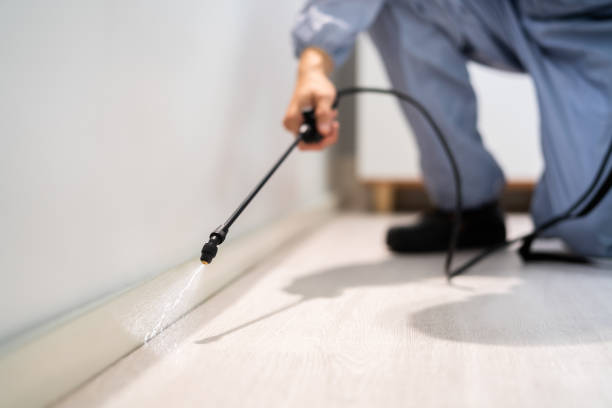 Rodent Entry Point Assessment in Noroton Heights