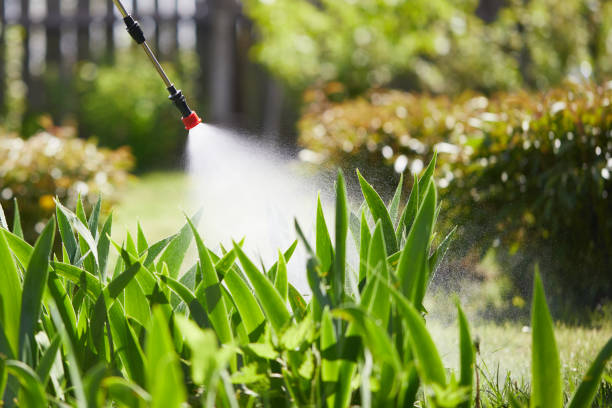 Tamper-Resistant Bait Stations for Rodents in Noroton Heights