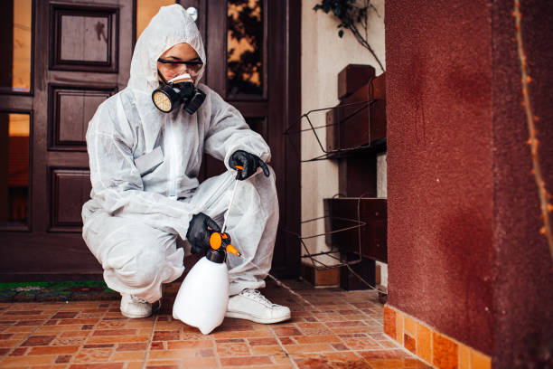 Attic and Crawl Space Rodent Treatment in Noroton Heights