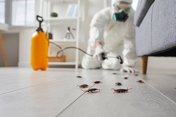 Commercial Rodent Management in Noroton Heights